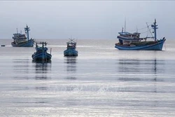 Chấm dứt khai thác hải sản trái phép ở vùng biển nước ngoài