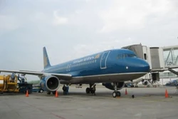 Vietnam Airlines vận chuyển đào, mai Tết