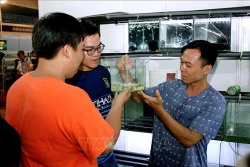 Liên kết phát triển bền vững ngành hàng cá cảnh