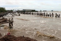  Kiên Giang sạt lở nghiêm trọng 86 km bờ biển