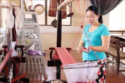 Ninh Thuận đào tạo nghề cho lao động nông thôn gắn với nhu cầu thực tiễn
