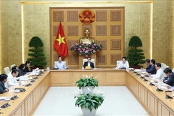 Huy động nguồn lực tổng hợp hỗ trợ sinh kế cho người nghèo
