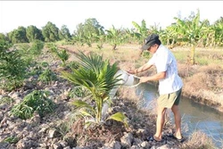 Thứ trưởng Nguyễn Hoàng Hiệp: Ứng phó hạ, mặn - sự chủ động của người dân là yếu tố quyết định