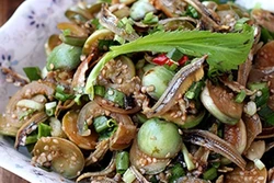 Gỏi cà đắng cá cơm