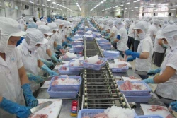 Phát triển chuỗi liên kết thủy sản Việt Nam trong bối cảnh thực hiện các hiệp định thương mại tự do