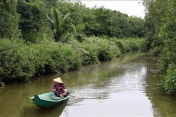 Bạc Liêu tăng cường quản lý rừng phòng hộ ven biển