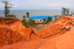 Vụ sạt lở bùn, cát tại Bình Thuận: Yêu cầu chủ đầu tư Dự án Sentosa Villa khẩn trương khắc phục hậu quả