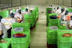 Nhiều hình thức liên kết phát triển nông nghiệp bền vững