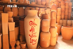 Vĩnh Long: Huy động nguồn lực cho Chương trình mục tiêu quốc gia xây dựng nông thôn mới