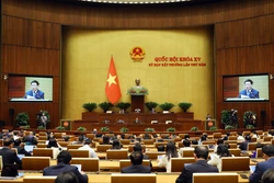 Quang cảnh phiên họp. Ảnh: An Đăng - TTXVN