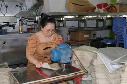 Trà Vinh hỗ trợ nguồn lực thúc đẩy ngành nghề nông thôn bứt phá