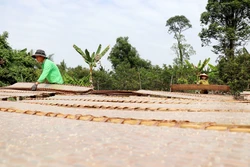 Ở Làng nghề Bánh tráng Thuận Hưng chủ yếu tráng 3 loại bánh: bánh tráng lạt dùng cuốn thịt, cá; bánh tráng dừa, mè dùng để nướng và bánh tráng ngọt ăn liền. Ảnh: Thu Hiền - TTXVN
