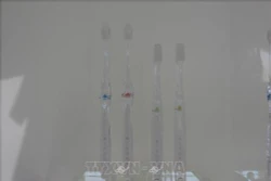 Độc đáo bàn chải không cần kem đánh răng của Nhật Bản 
