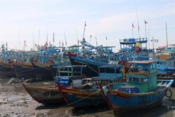 Bình Thuận cấm tàu, thuyền ra khơi từ 10 giờ ngày 3/1 để phòng bão số 1 
