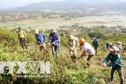 Lai Châu chủ động phòng chống cháy rừng mùa nắng nóng