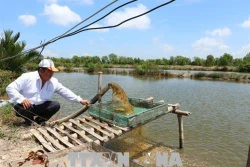 Các khu kinh tế ven biển cần hướng tới nền kinh tế các bon thấp