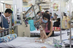 Thành phố Hồ Chí Minh phát động chiến dịch cao điểm diệt lăng quăng phòng, chống sốt xuất huyết