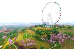 Cánh đồng chong chóng đẹp mắt 