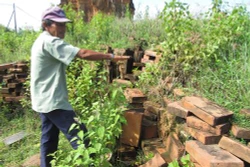 Di tích quốc gia đặc biệt tháp Hòa Lai cần sớm được tu bổ, tôn tạo