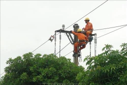 Khung giá bán buôn điện năm 2019 cao hơn năm trước