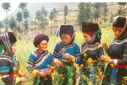 Người Cờ Lao