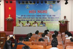 Hai phương án sản xuất lúa cho Đồng bằng sông Cửu Long