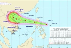 Các tỉnh, thành phố ven biển từ Quảng Ninh đến Phú Yên chủ động ứng phó với bão Podul