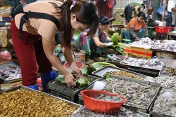 Nói không với rác thải nhựa: Nhân rộng mô hình và các giải pháp loại bỏ sản phẩm nhựa