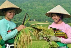 Diện mạo mới huyện nghèo vùng cao Bá Thước
