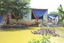 Hiệu quả nguồn vốn vay tín dụng ưu đãi ở Đắk Nông