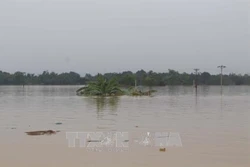Thanh Hóa: Chồng chất khó khăn vực lại sản xuất sau khi lũ đi qua