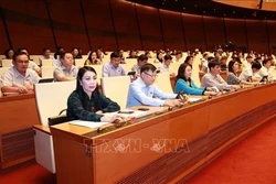 Quốc hội thông qua Nghị quyết phê duyệt Đề án tổng thể phát triển kinh tế - xã hội vùng đồng bào dân tộc thiểu số và miền núi, vùng có điều kiện đặc biệt khó khăn
