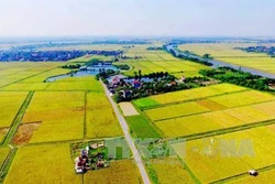 Xu thế phát triển thị trường quyền sử dụng đất nông nghiệp