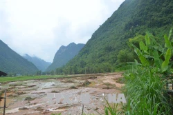 Cao Bằng: Mưa lớn kéo dài, nhiều tuyến đường sạt lở, gần 400 ha hoa màu bị ngập