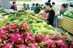 Phát huy tiềm năng, lợi thế đưa Đắk Nông phát triển nhanh, bền vững