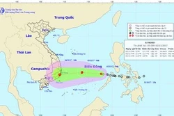 Thời tiết ngày 2/11: Cảnh báo lũ trên các sông từ Quảng Nam đến Khánh Hòa và Bắc Tây Nguyên