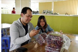 Nho Ninh Thuận khẳng định thương hiệu từ “tem điện tử thông minh”