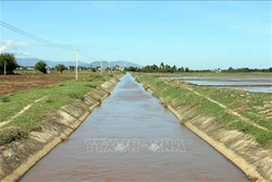 Ninh Thuận chuyển đổi cơ cấu cây trồng theo hướng tiết kiệm nước tưới