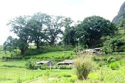 Thiên Hương - điểm du lịch cộng đồng hấp dẫn trên cao nguyên đá Đồng Văn