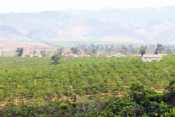 Kon Tum hỗ trợ đất cho người nghèo