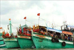 Cà Mau tăng cường quản lý, kiểm soát hoạt động tàu cá trên biển