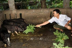 Hỗ trợ người dân vùng biên giới huyện Mường Lát xóa đói giảm nghèo