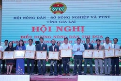 Gia Lai biểu dương nông dân sản xuất, kinh doanh giỏi giai đoạn 2017-2019