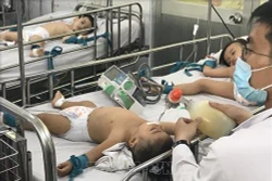 Cảnh báo nguy cơ dịch chồng dịch nếu không chủ động phòng ngừa tại các tỉnh phía Nam