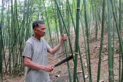 Hướng mới trong phát triển kinh tế vùng biên Thanh Hóa 