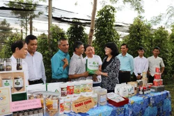 Gia Lai nhân rộng mô hình liên kết sản xuất gắn với tiêu thụ sản phẩm