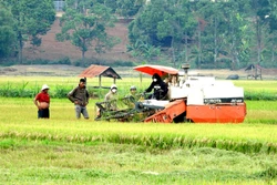 Bình Phước: Xã biên giới Lộc Phú vượt khó về đích nông thôn mới