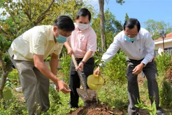 Tạo môi trường xanh - sạch nơi quê hương “cây vú sữa miền Nam” được gửi tặng Bác