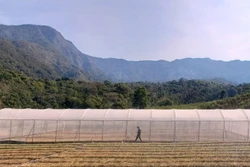 Kon Tum thay đổi nếp nghĩ, cách làm của đồng bào dân tộc thiểu số