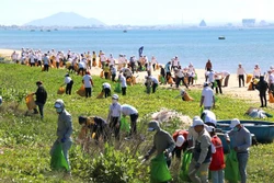 Triển khai trồng 10 triệu cây xanh bảo vệ môi trường trên địa bàn tỉnh Bình Thuận